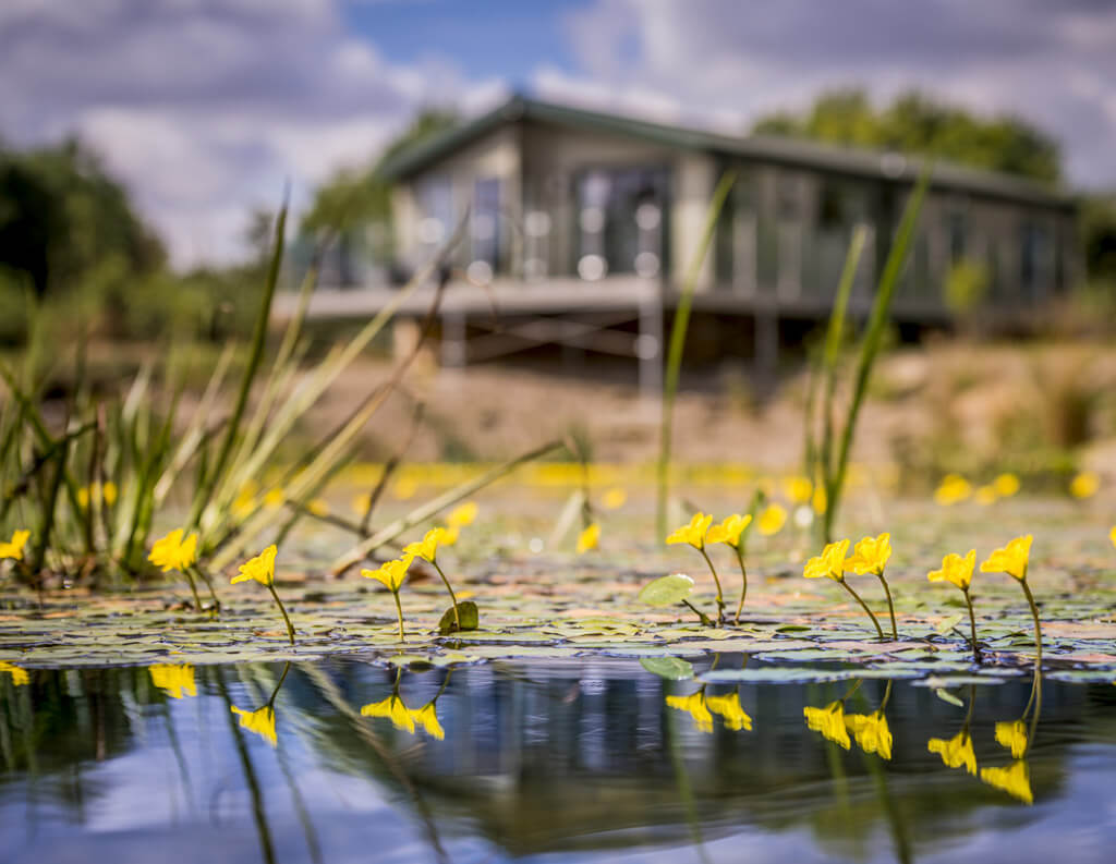 Lodge Reflection - The Lakes