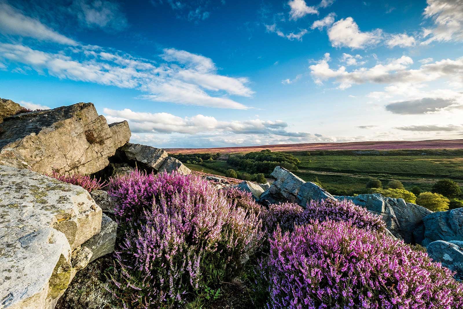 North Yorkshire Moors