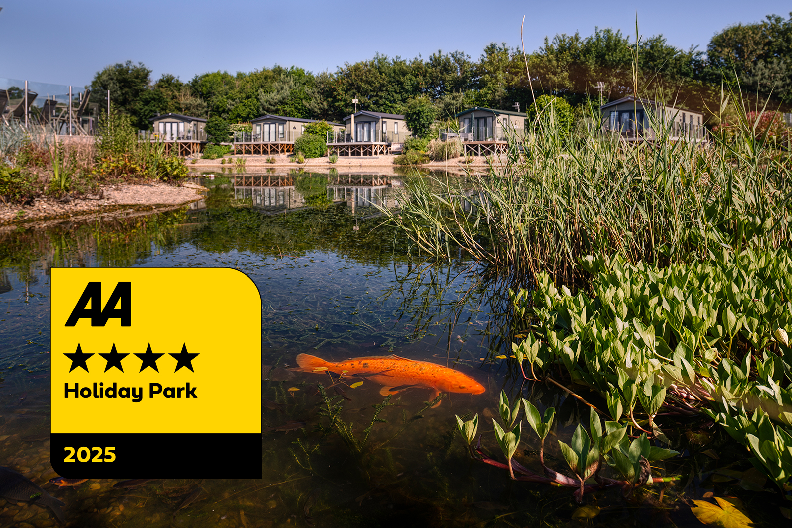AA 4 Star Rating - Wayside Holiday Park